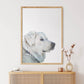 Corner Peekaboo - Custom Hand-Painted Dog Portrait From Photo